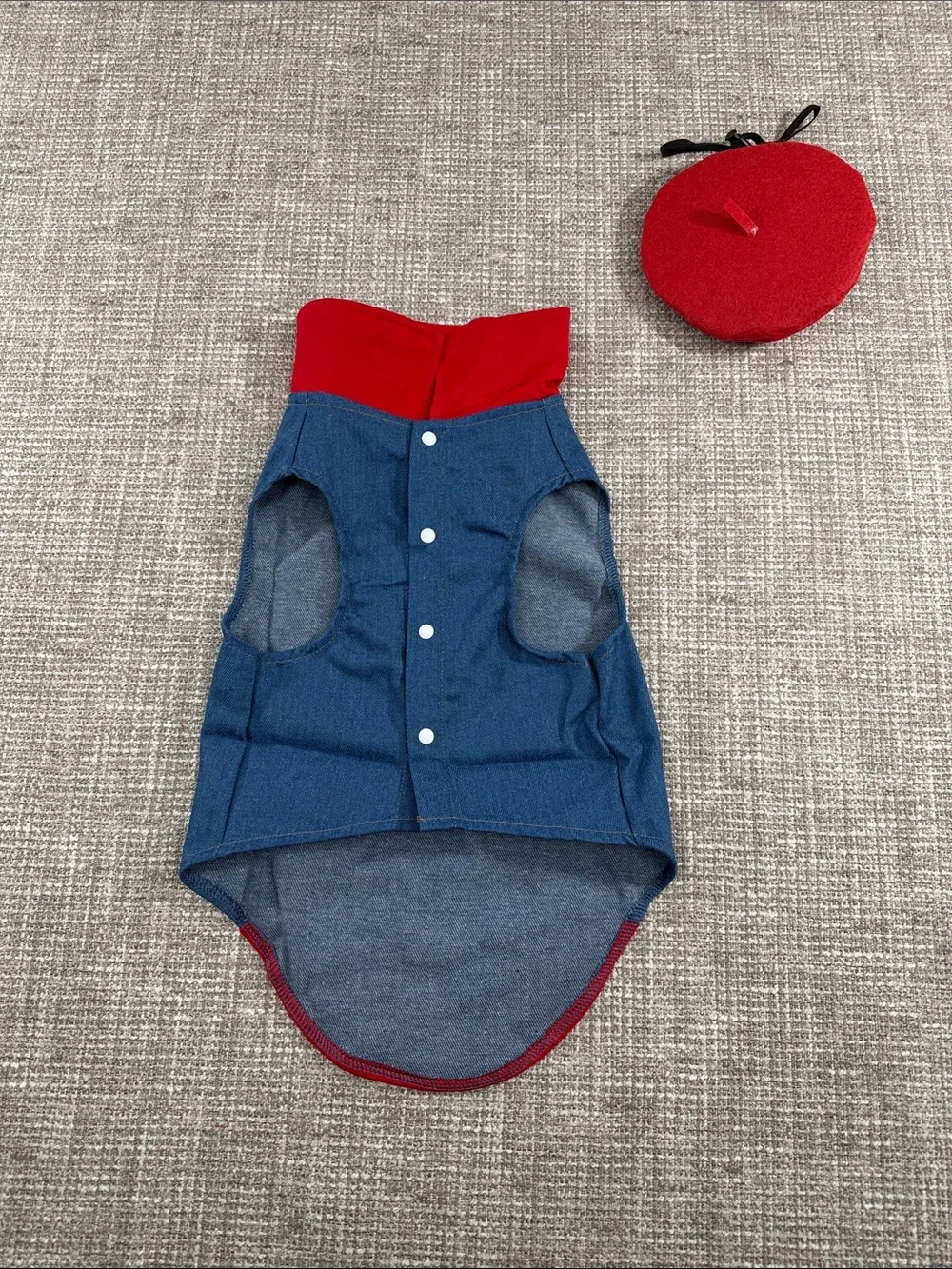 Red and Blue Dog vest with Cap